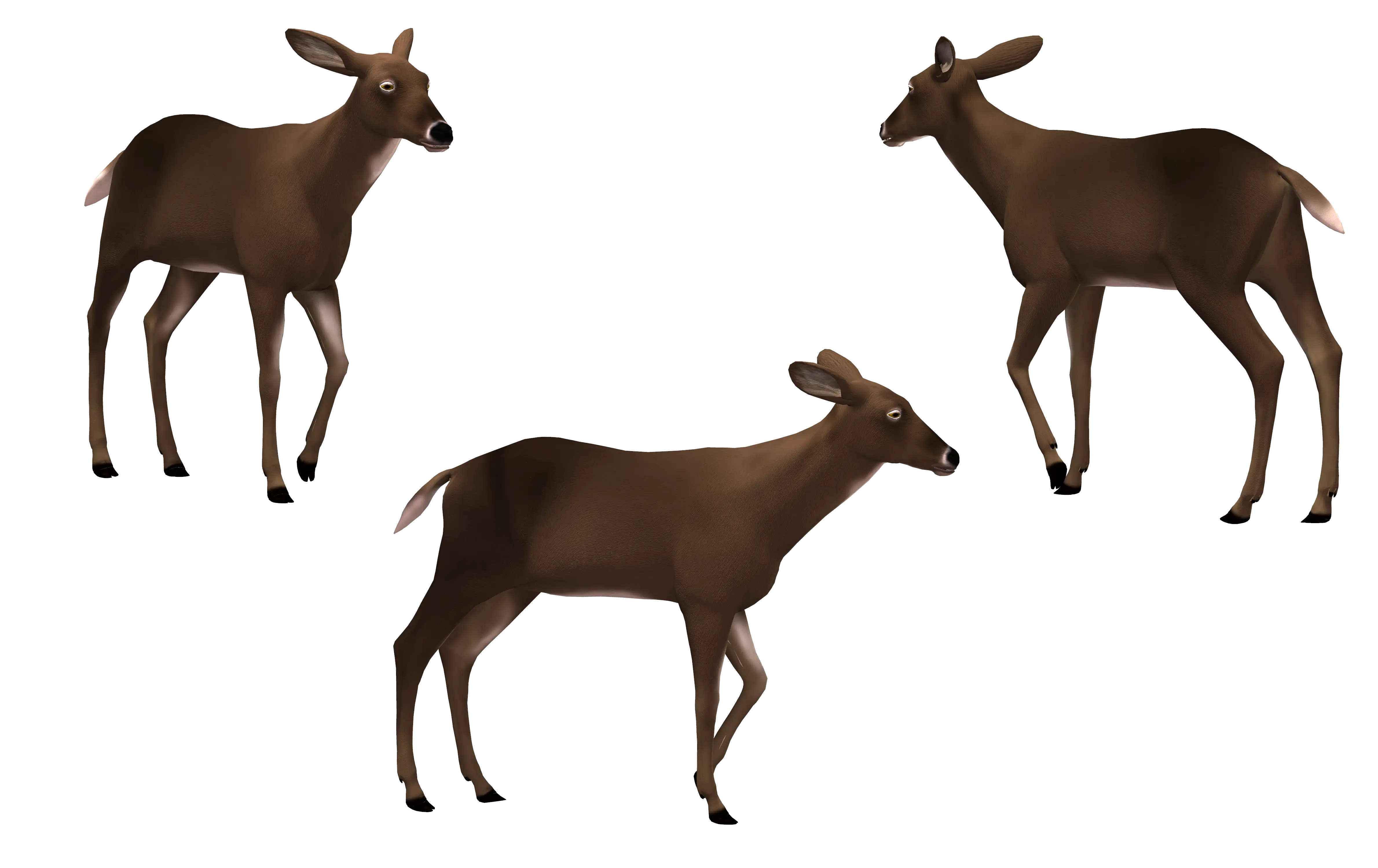 Three Brown Deer in Nature Illustration