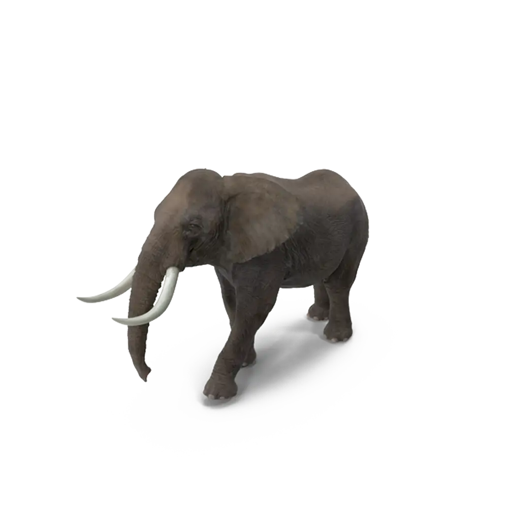 Majestic Walking Elephant