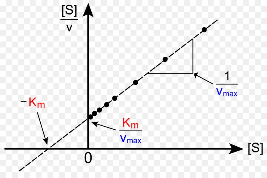 Line Graph with Data Points