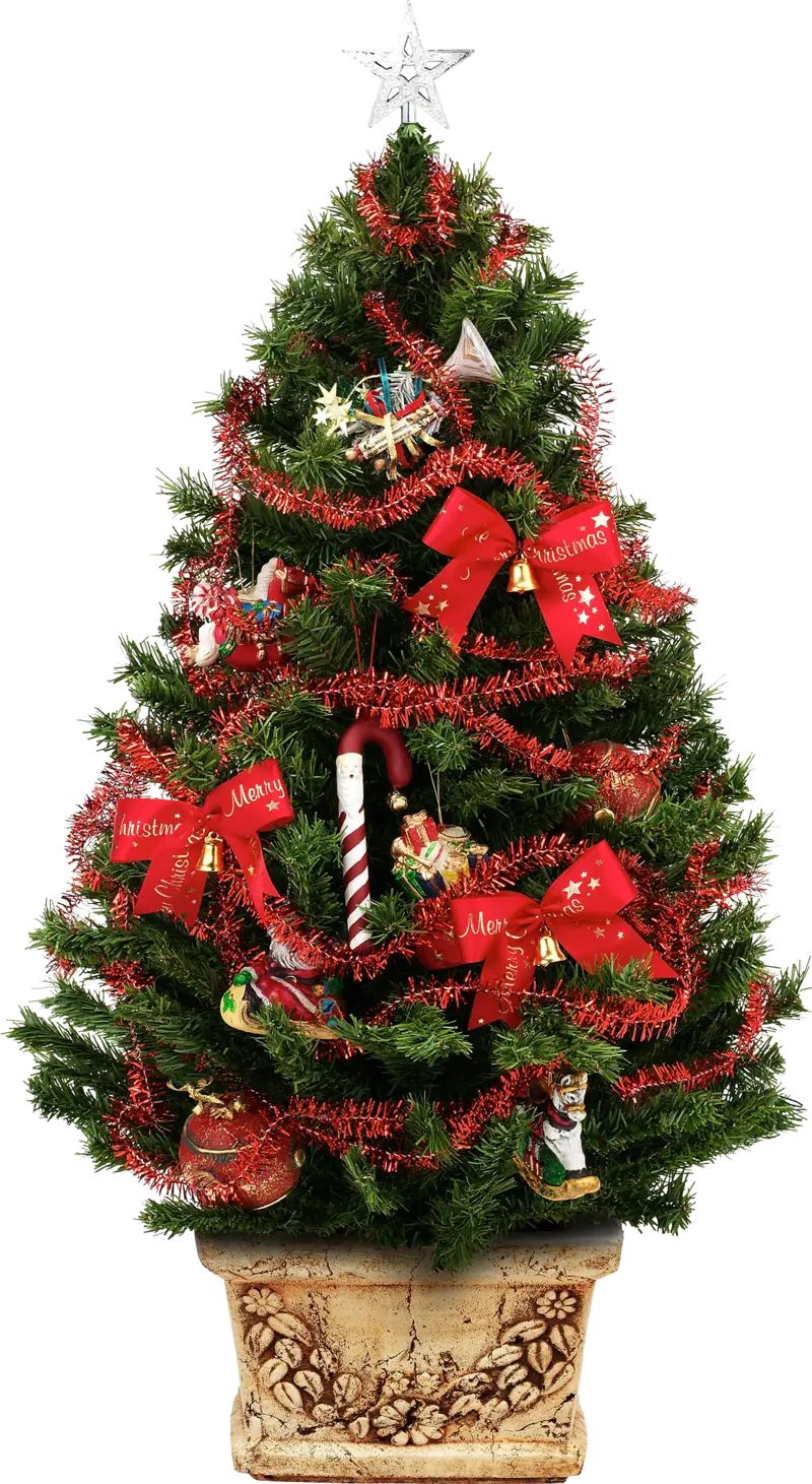 Beautiful Decorated Christmas Tree