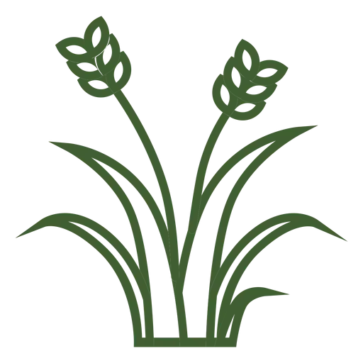 Green Wheat Icon