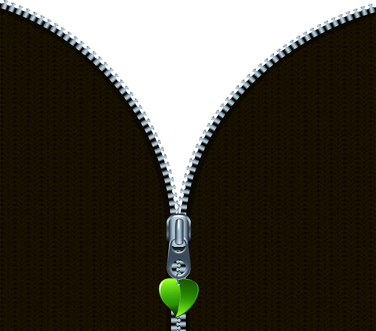 Zipper with Green Leaf Pull