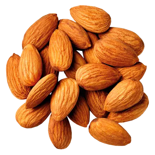 Illustration of Brown Almonds