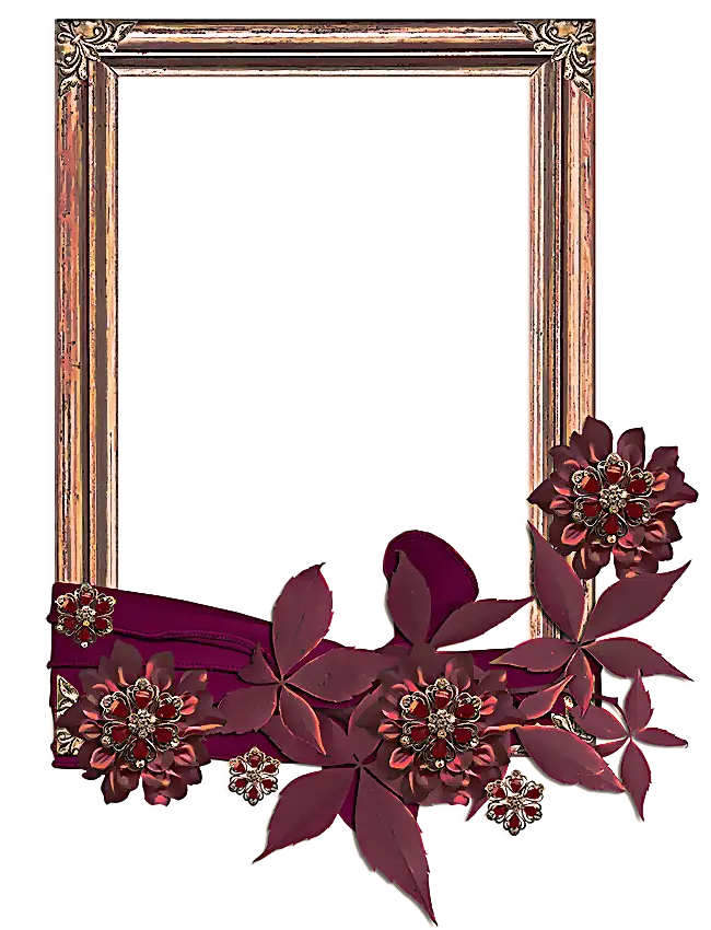 Elegant Decorative Frame with Red Florals