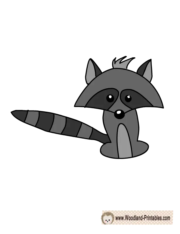 Cute Cartoon Raccoon