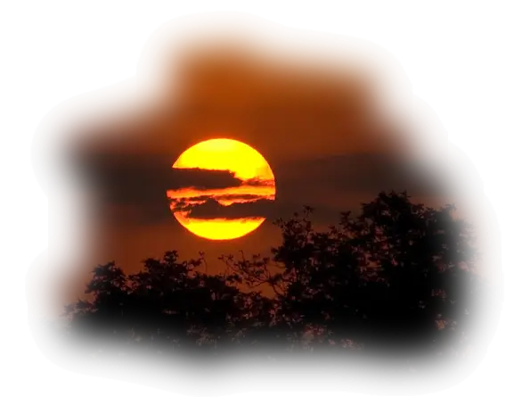 Beautiful Orange Sunset