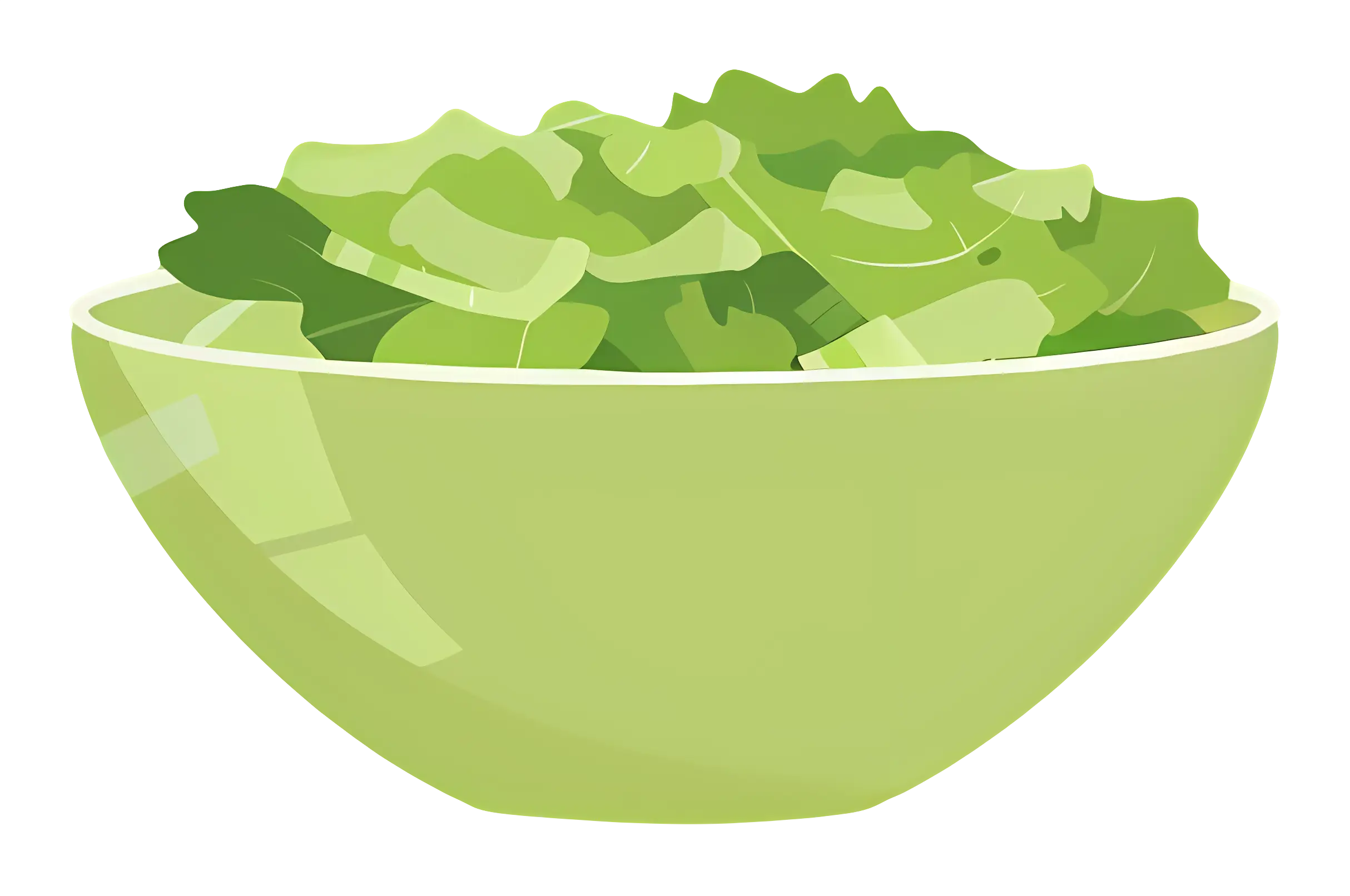 Bowl of Fresh Green Lettuce Leaves Illustration