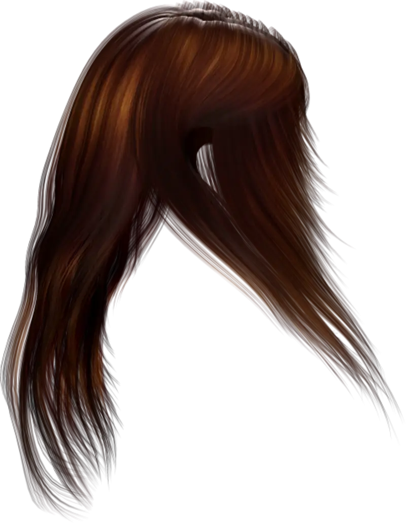 Realistic Brown Hair Illustration