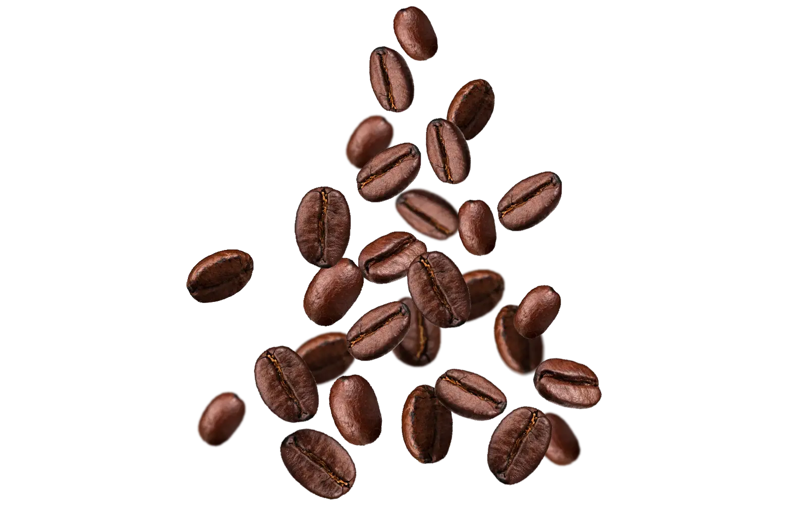 Brown Coffee Beans in Natural Form