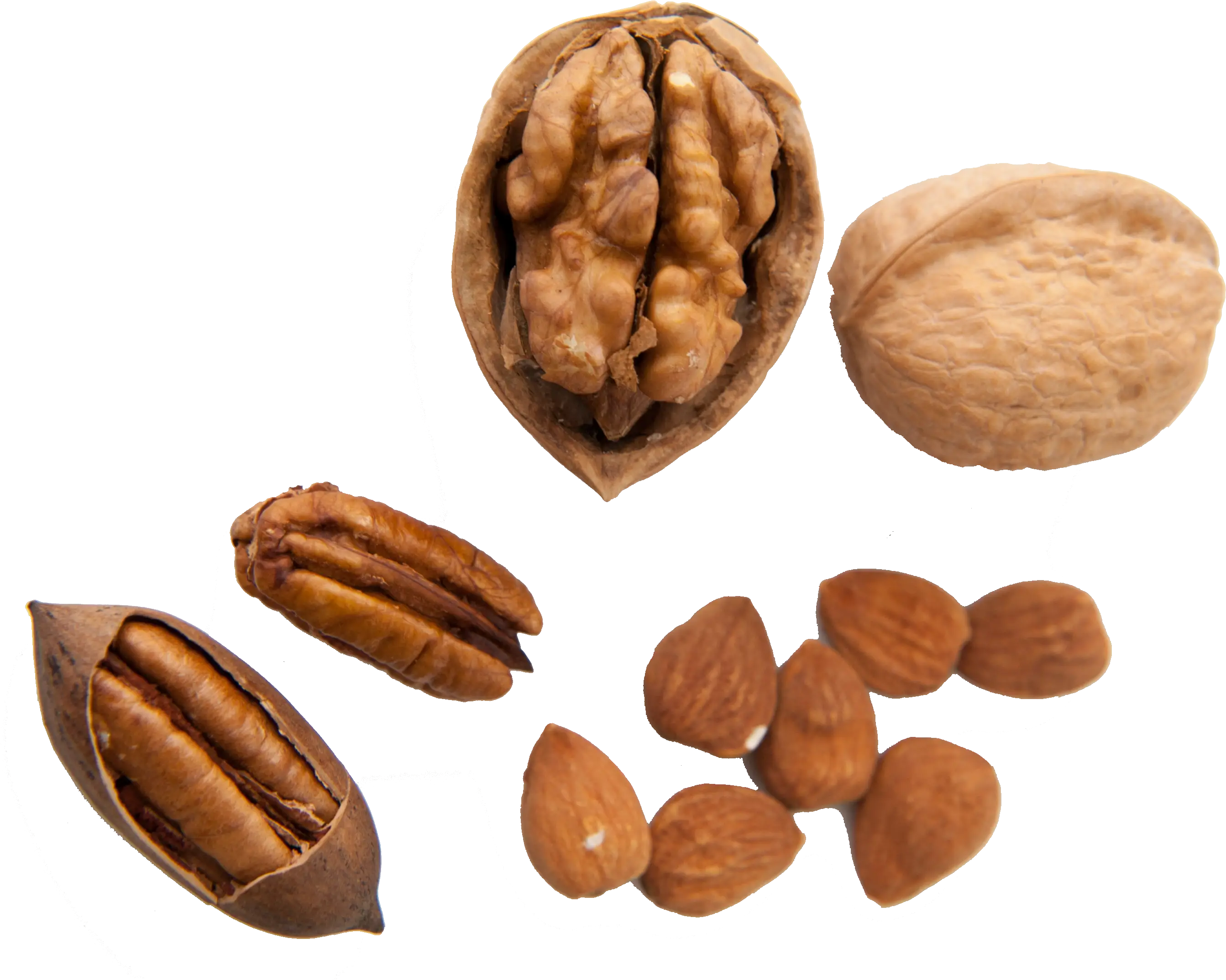 Assorted Nuts including Walnuts, Pecans, and Almonds