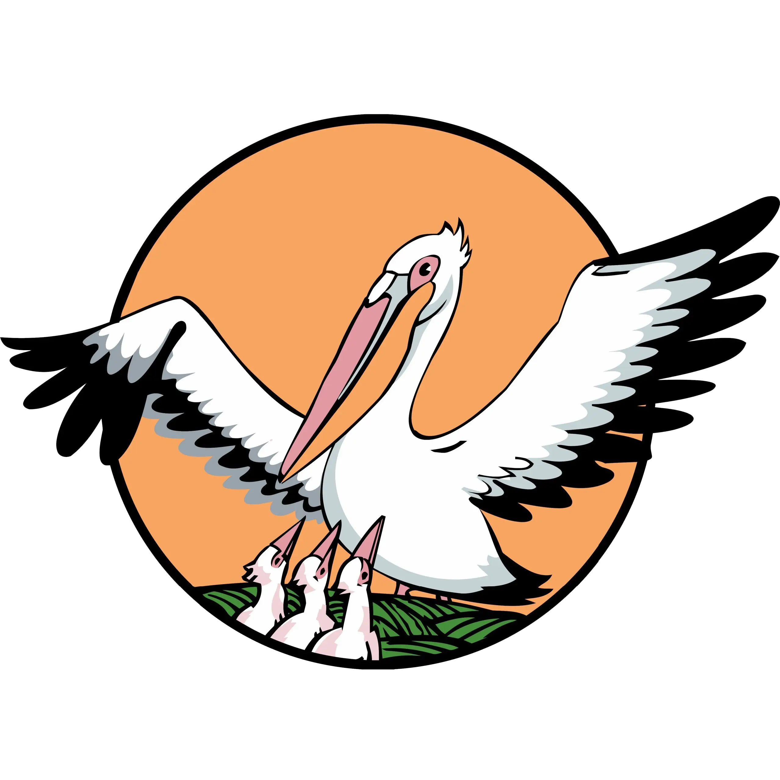 Pelican with Chicks Illustration