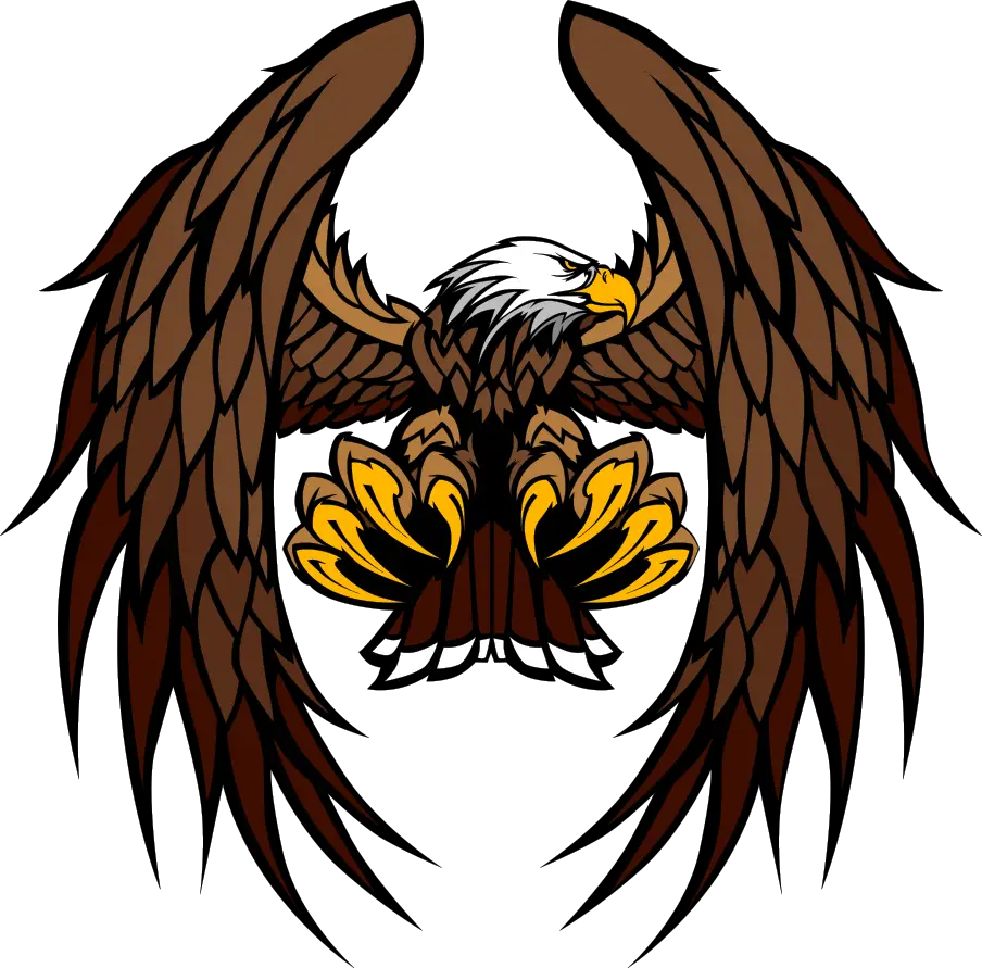 Majestic Eagle with Wings Spread Illustration