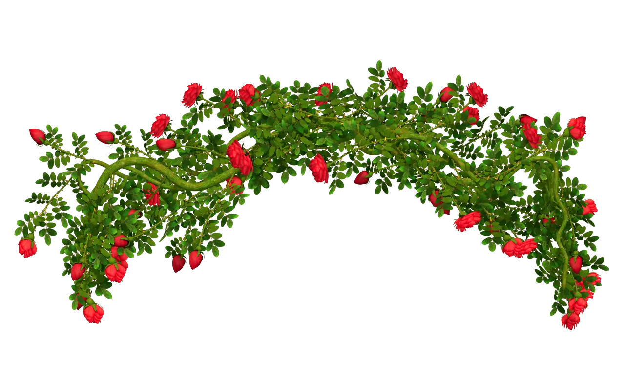 Rose Vine Floral Decoration with Green Leaves