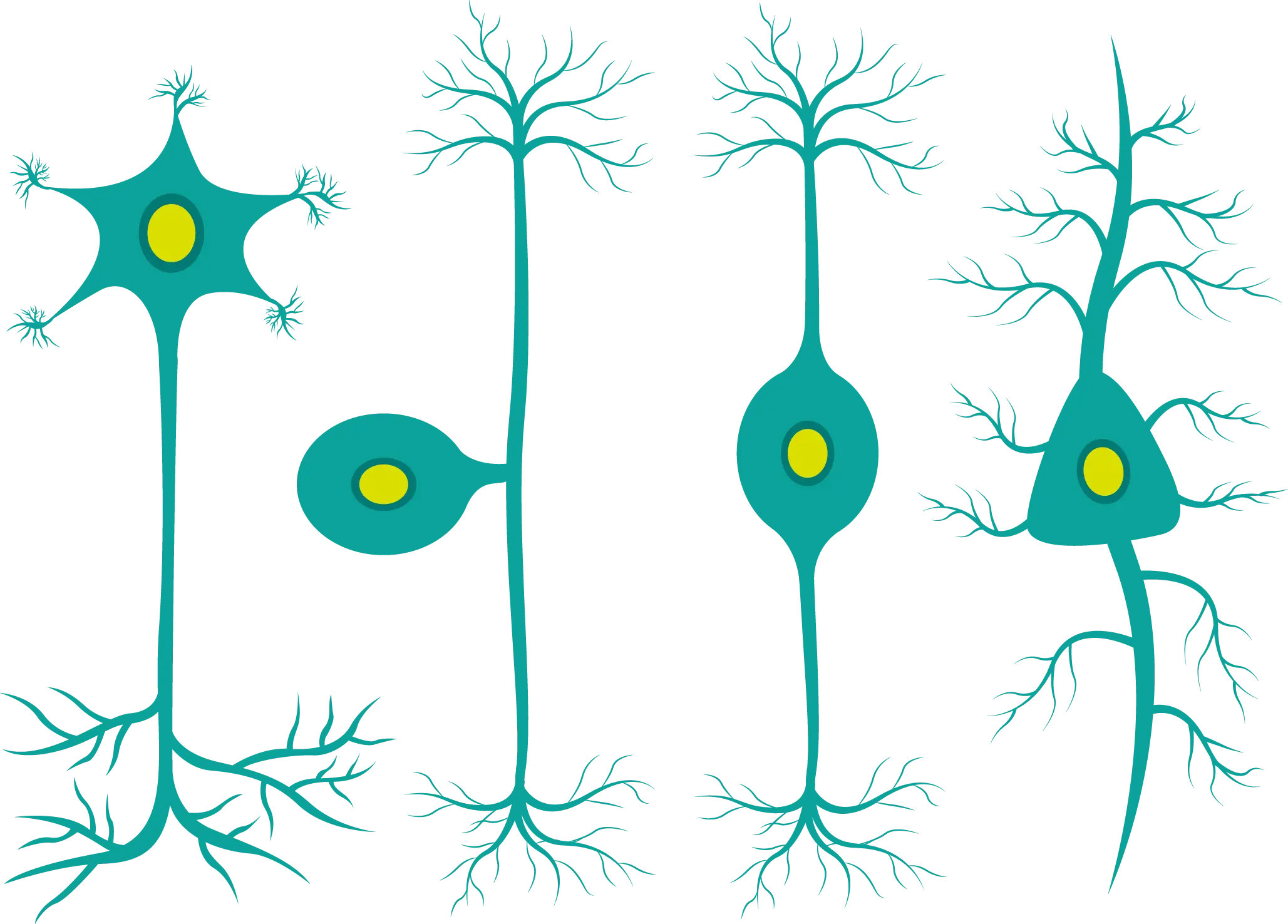Neurons Cartoon Illustration