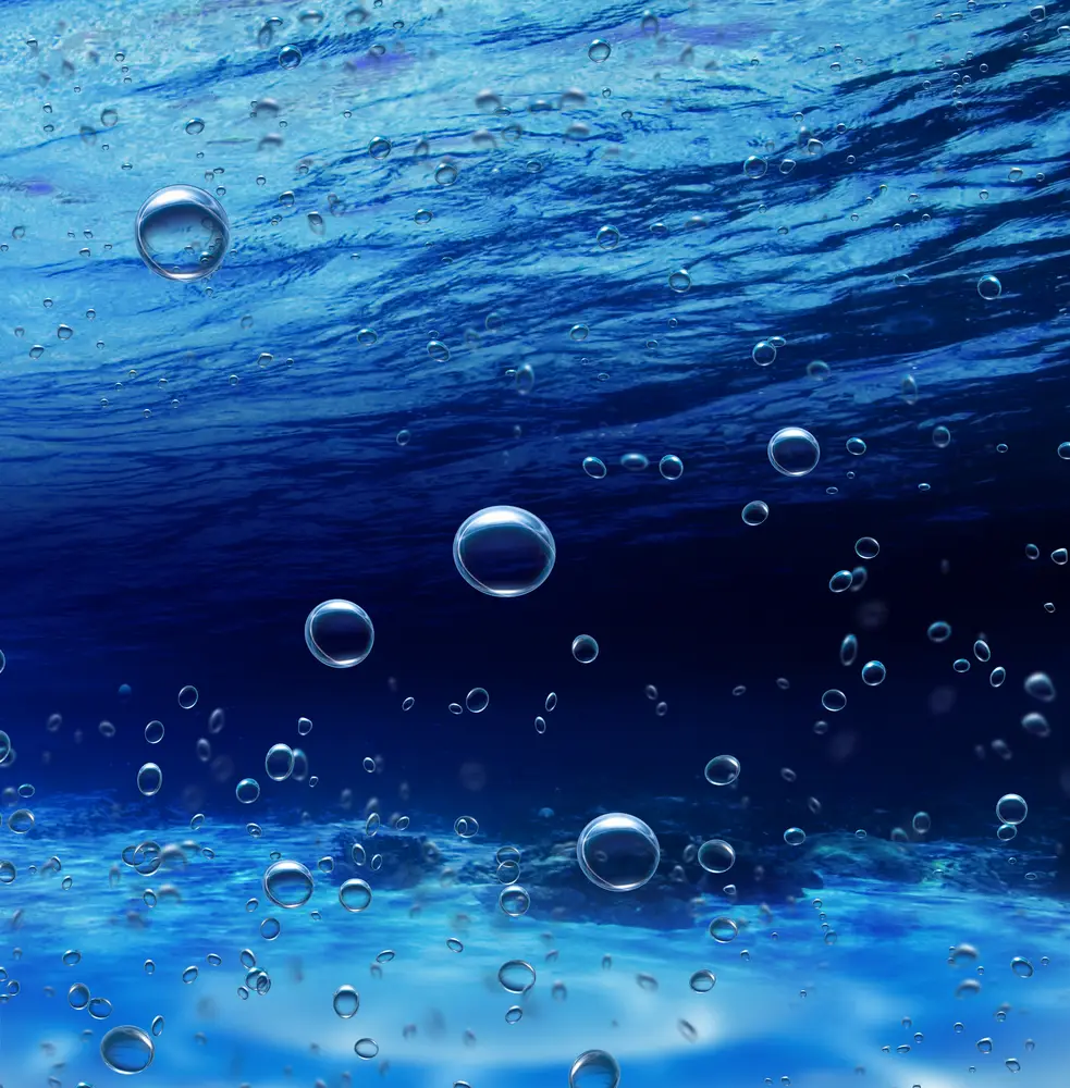 Underwater Scene with Floating Bubbles