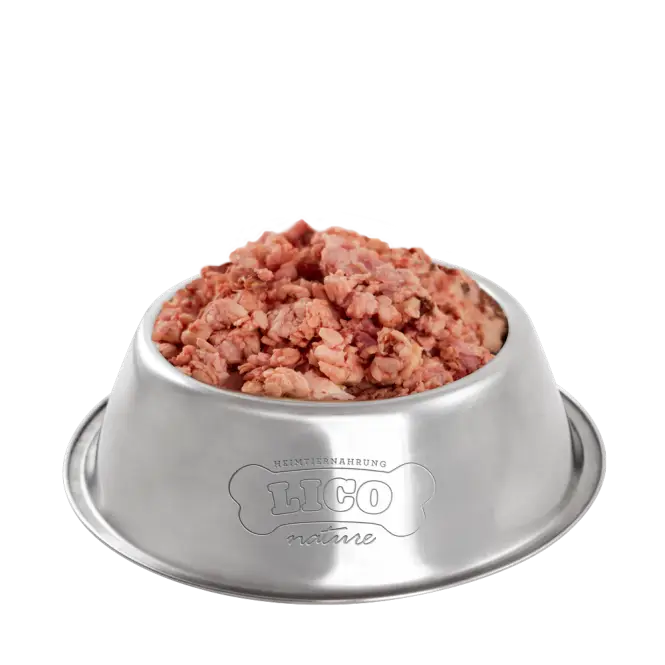 Stainless Steel Dog Food Bowl Filled with Food