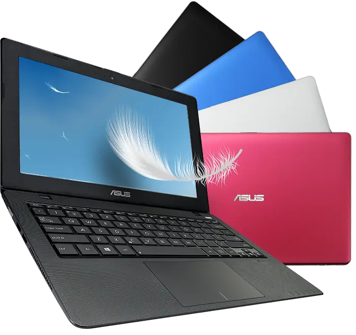 Colorful Asus Laptops Collection