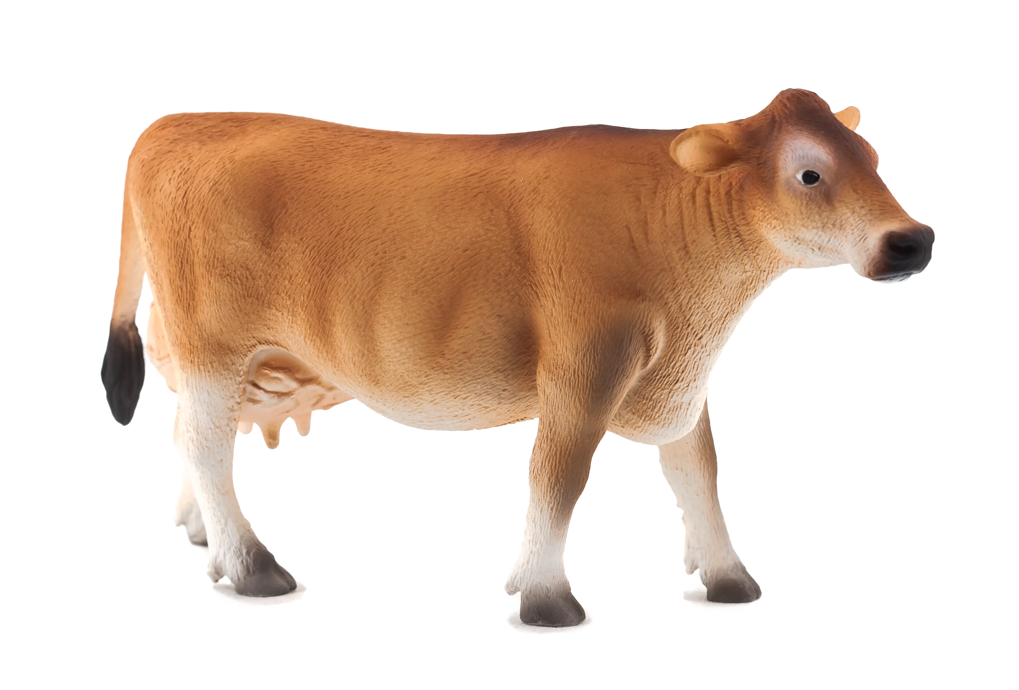 Brown Cow on a Farm