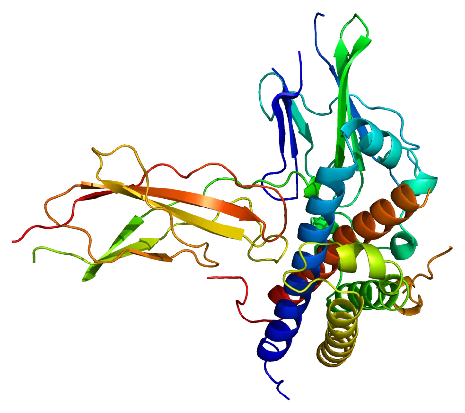 3D Protein Structure Visualization