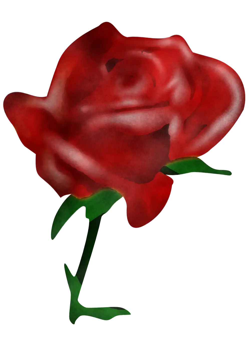 Romantic Red Rose Illustration