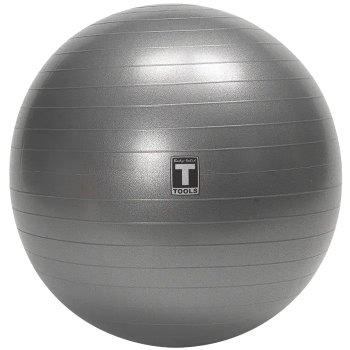 Silver Exercise Ball for Fitness