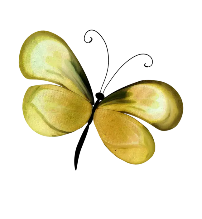 Yellow Butterfly Natural Illustration