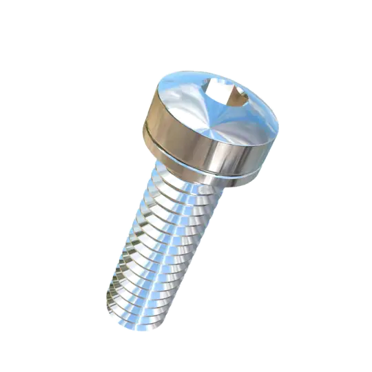 Stainless Steel Screw for Fastening