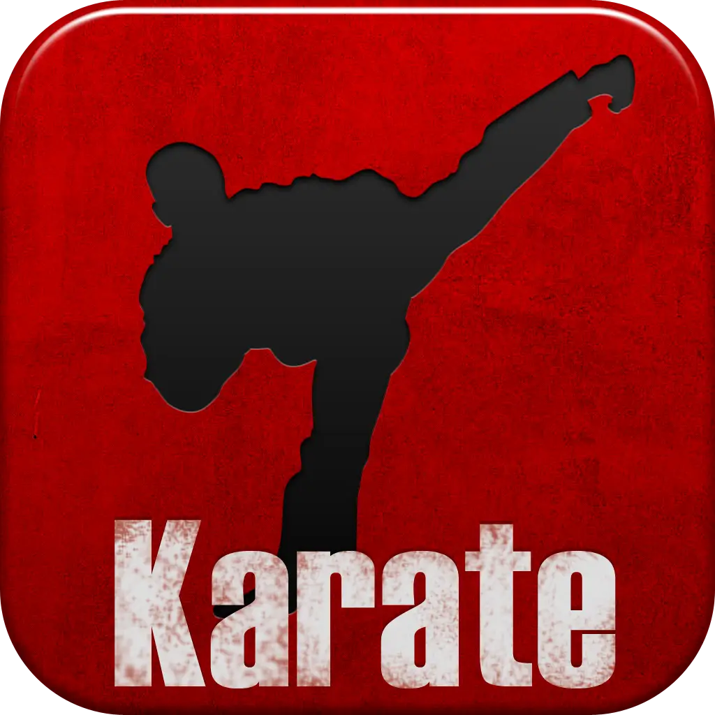 Karate Kick Silhouette