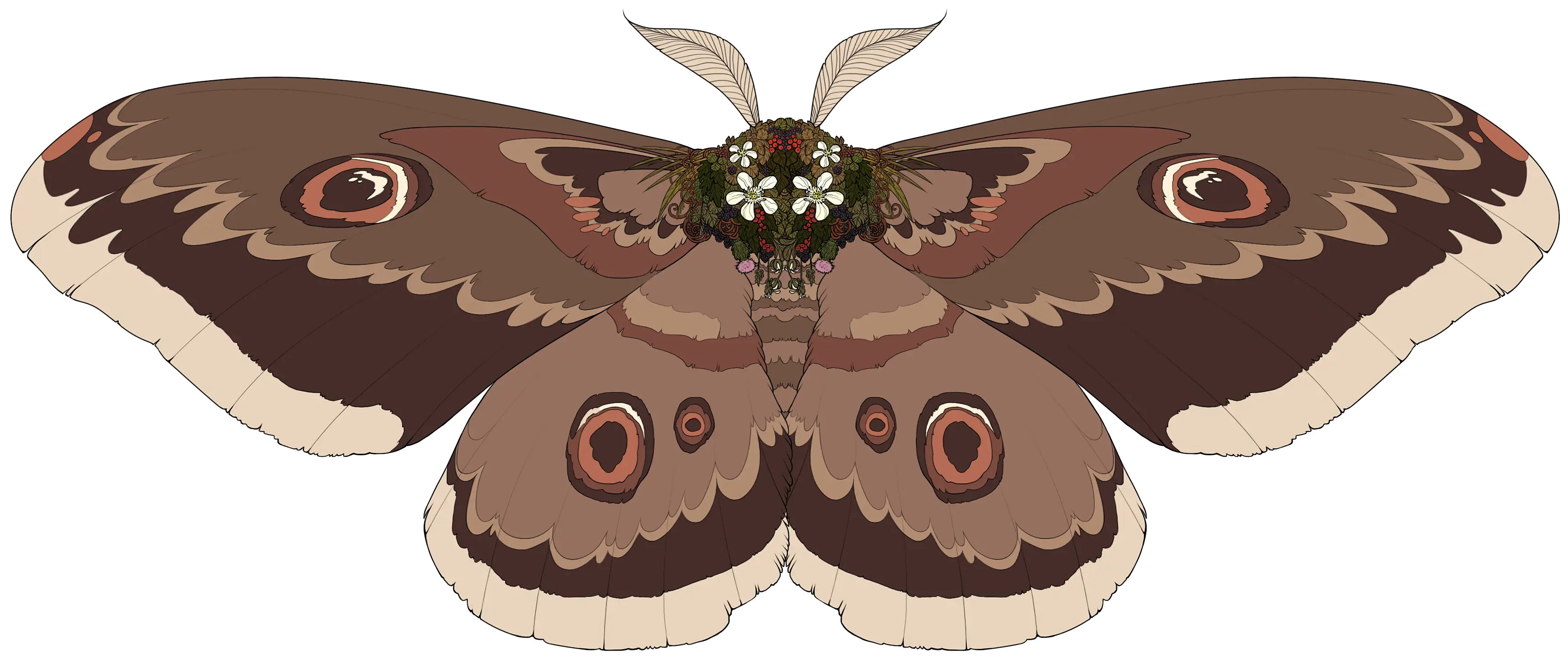 Detailed Moth Illustration