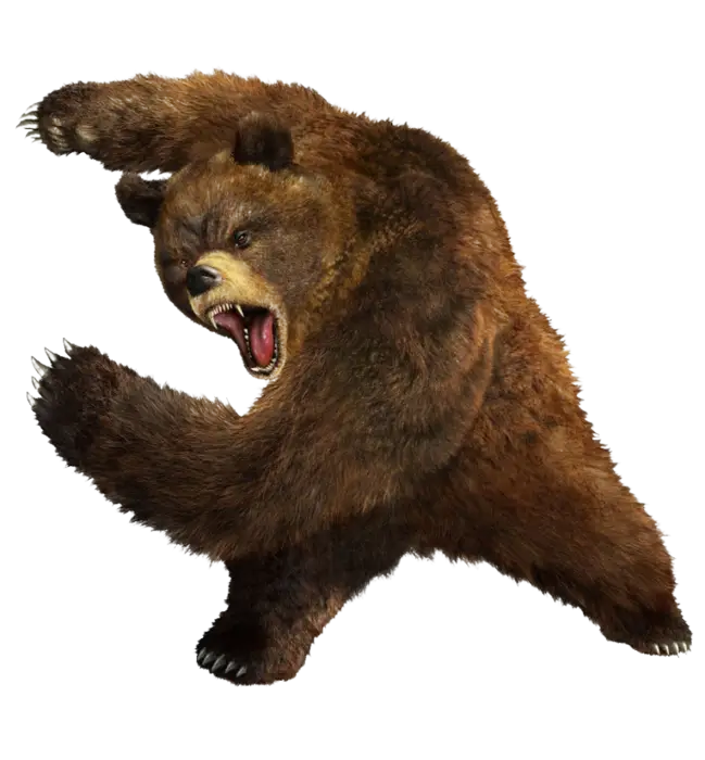 Angry Bear Illustration