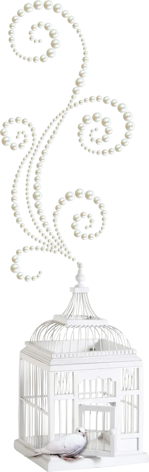 Decorative Birdcage with Pearls