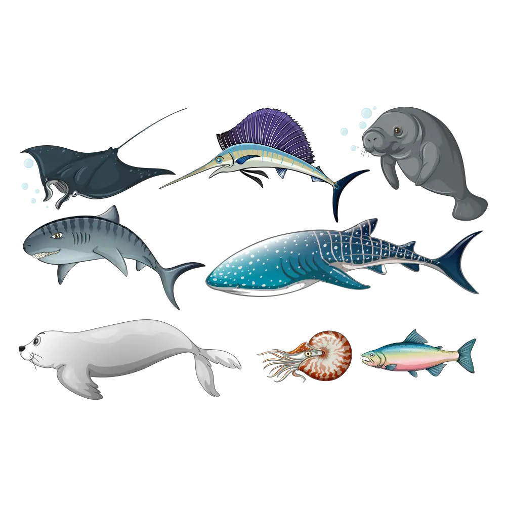 Various Sea Creatures Illustration