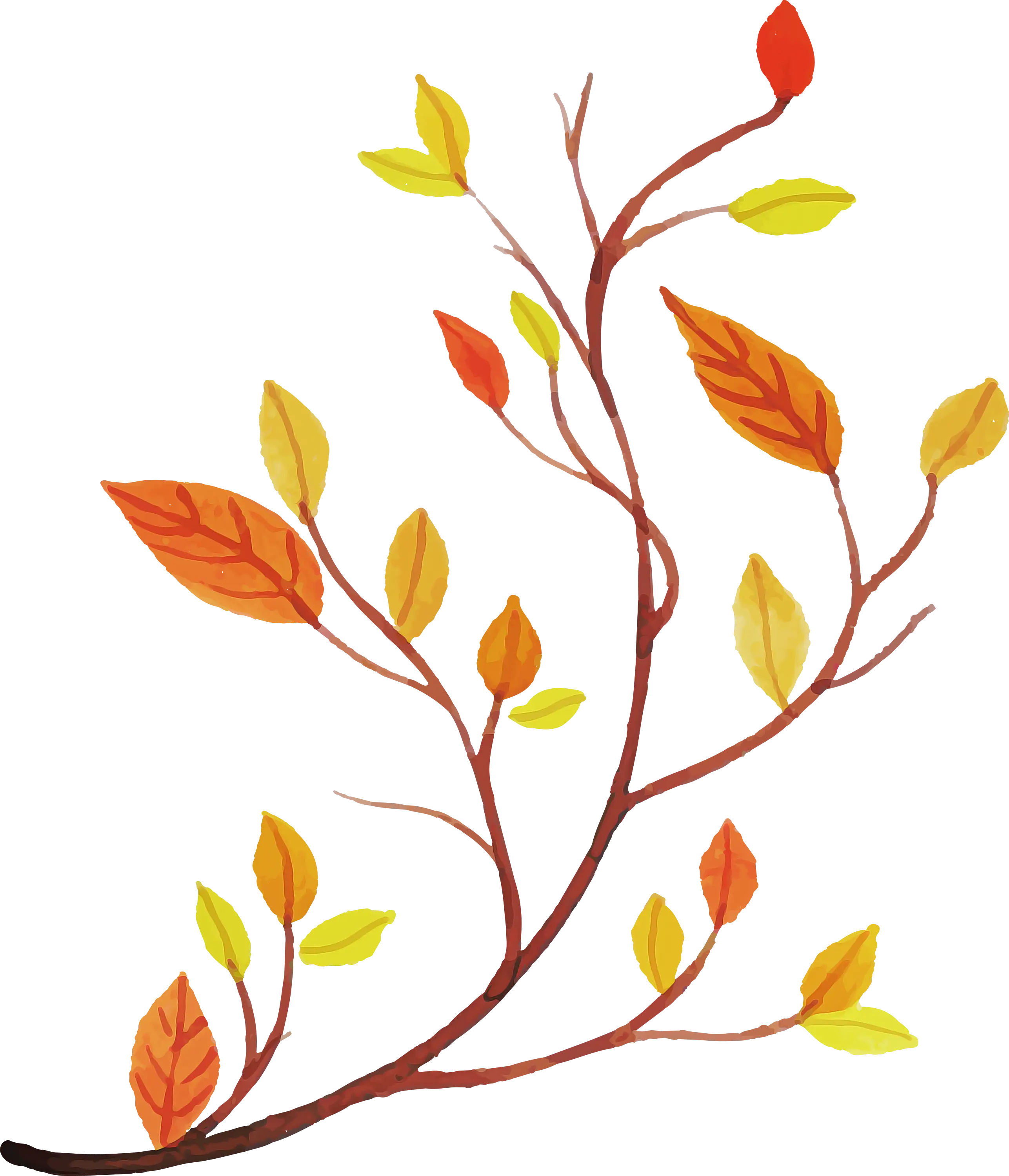 Branch with Autumn Leaves Illustration