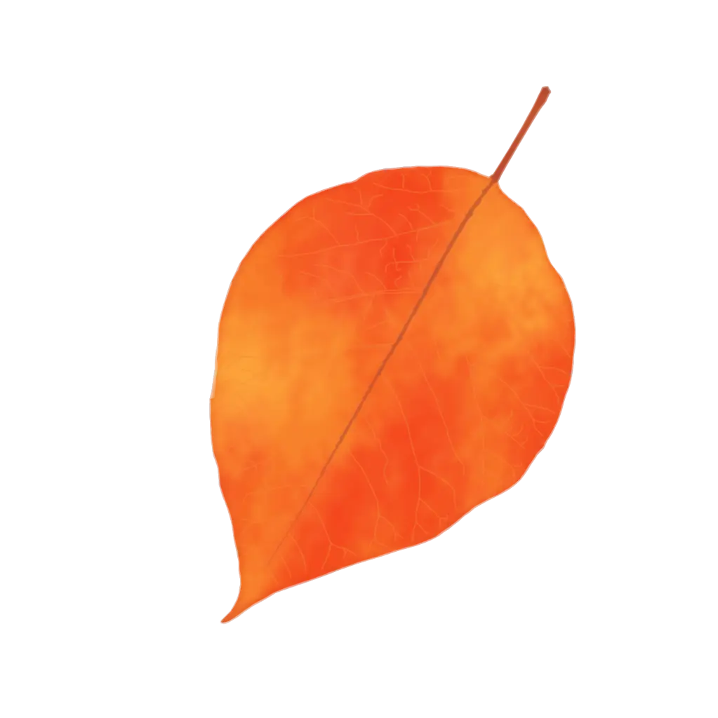 Orange Autumn Leaf