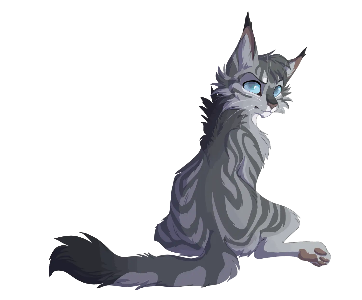 Gray Cat with Blue Eyes