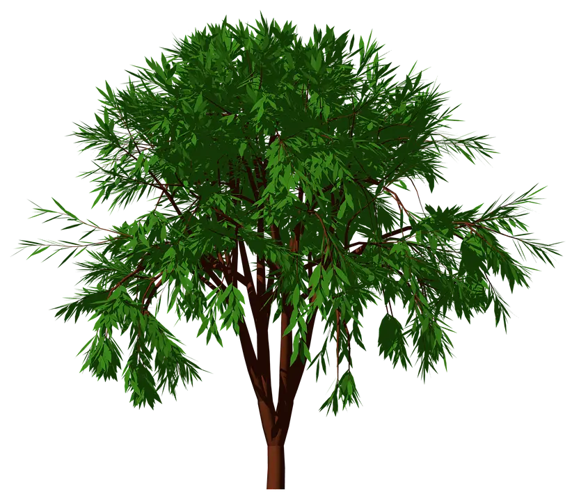 Green Leafy Tree Illustration