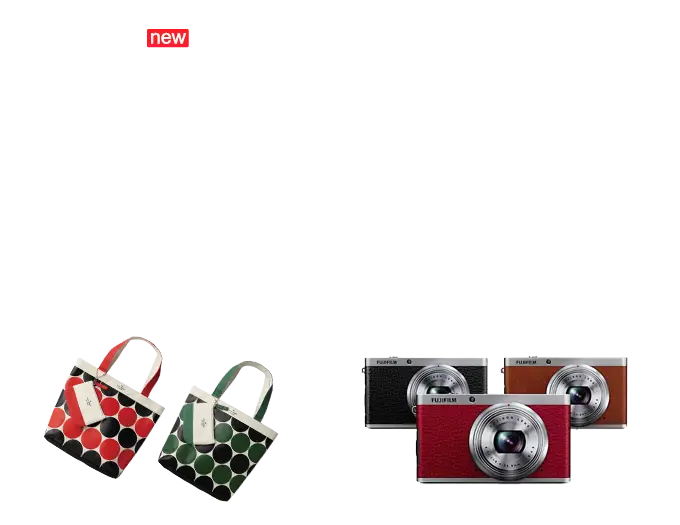 Fashionable Handbags and Cameras