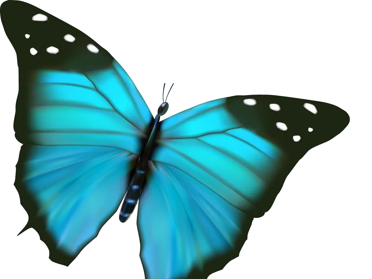 Blue Butterfly with Colorful Wings