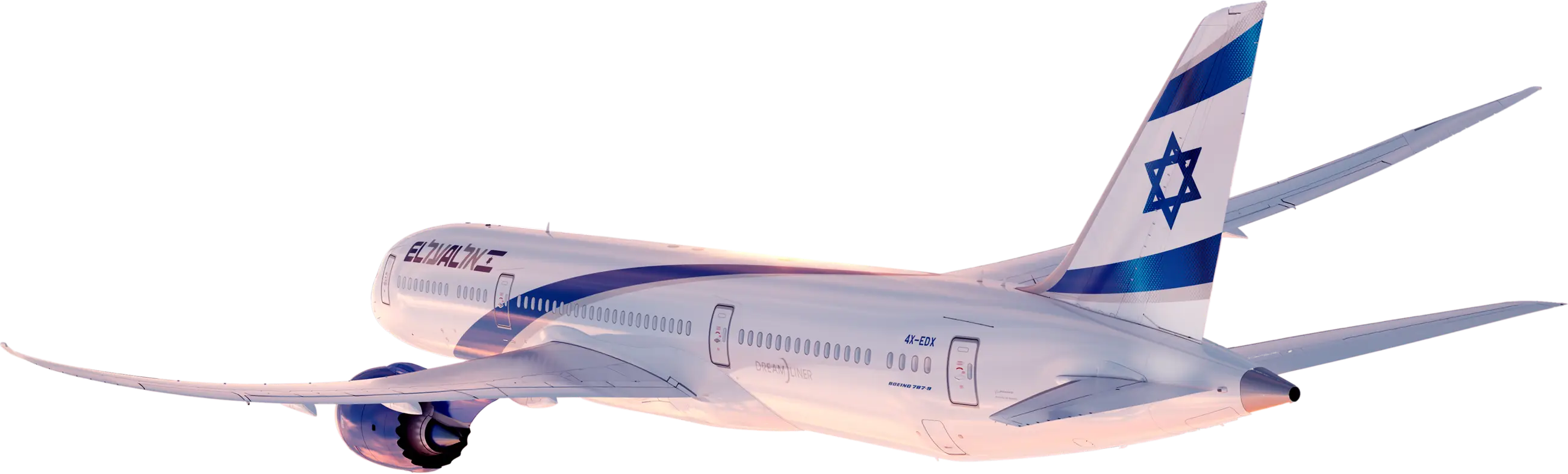 Airplane in Flight