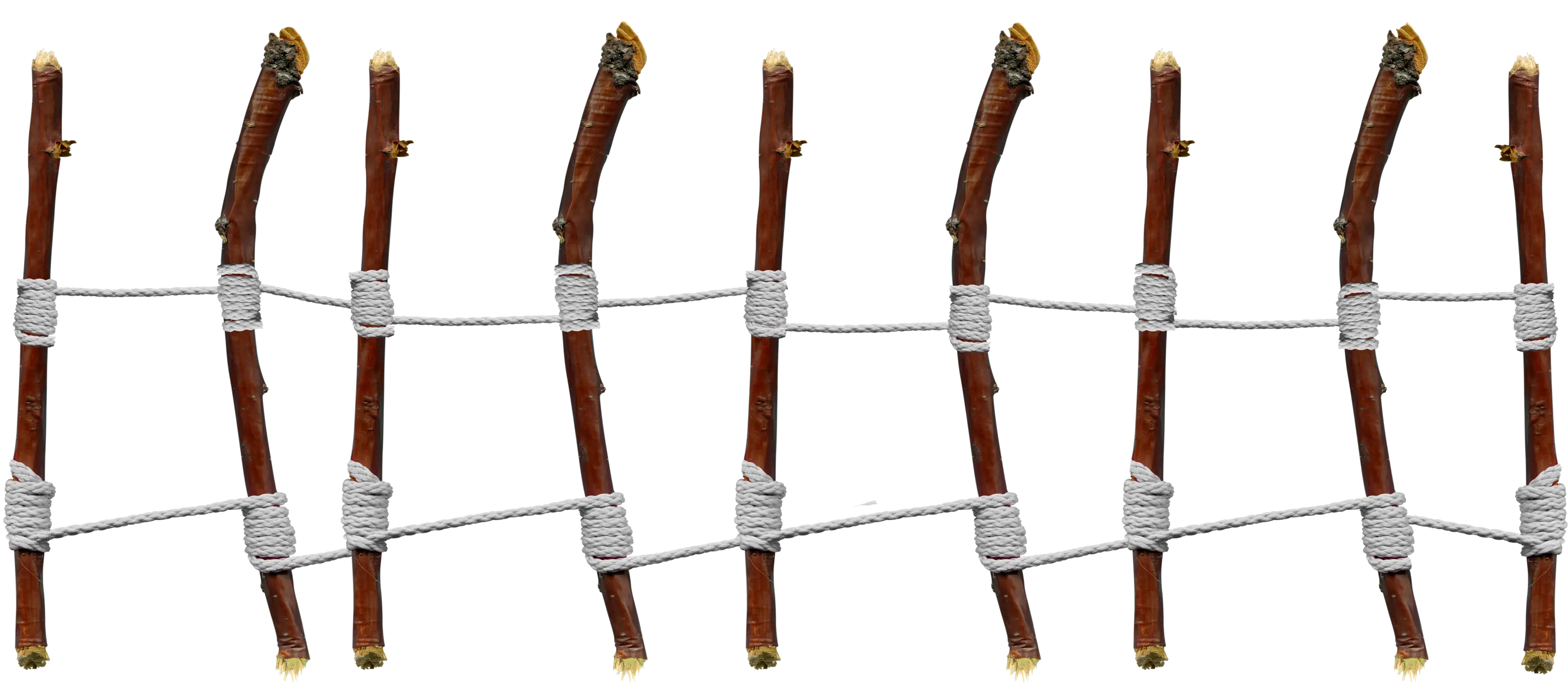 Wooden Rope Bridge Illustration