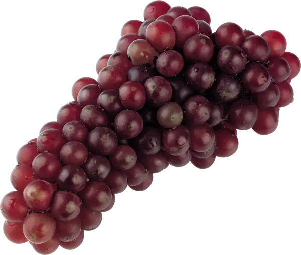 Cluster of Fresh Red Grapes