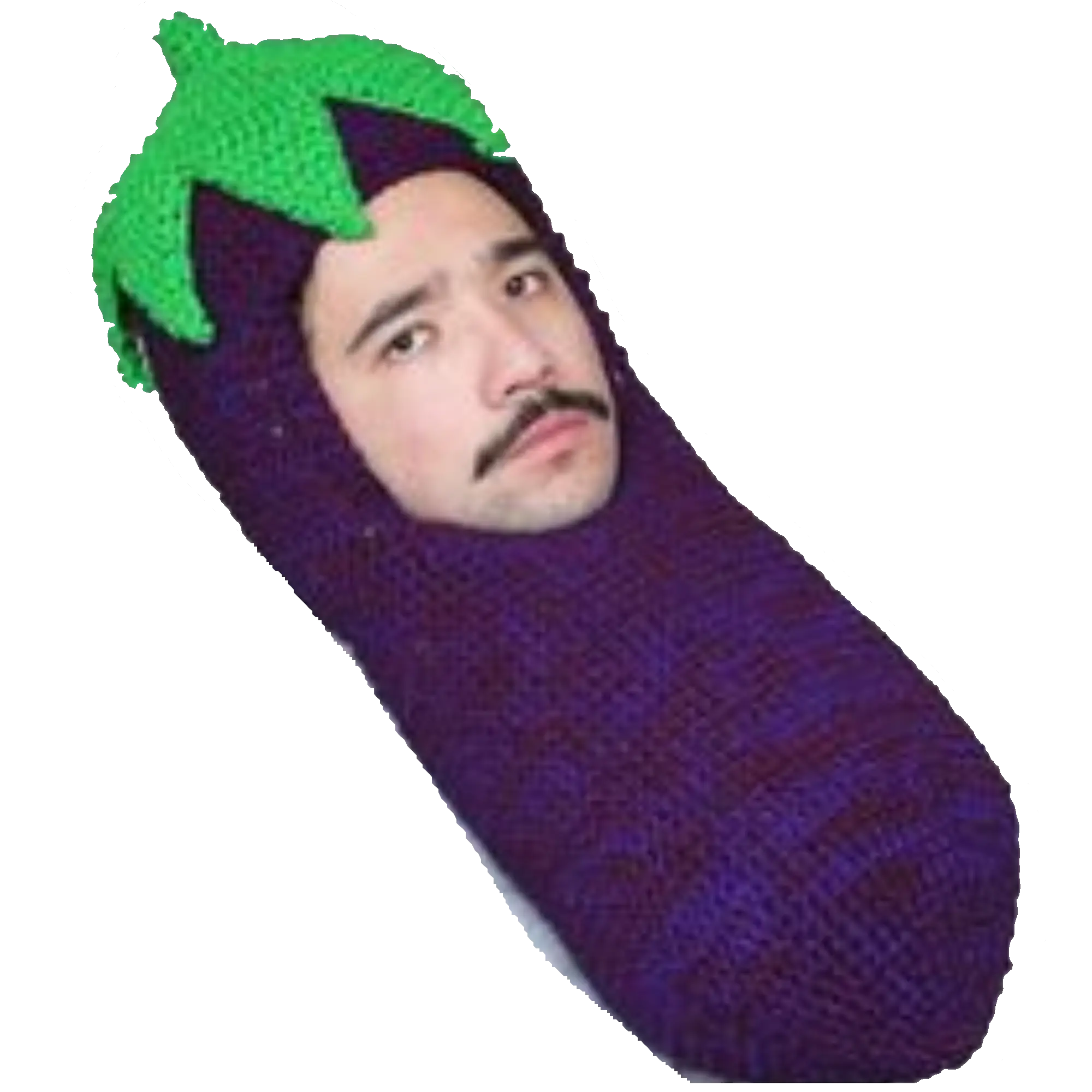 Funny Eggplant Costume