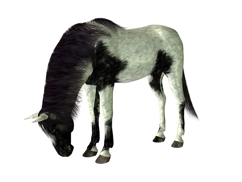Black and White Unicorn Grazing in Fantasy Scene