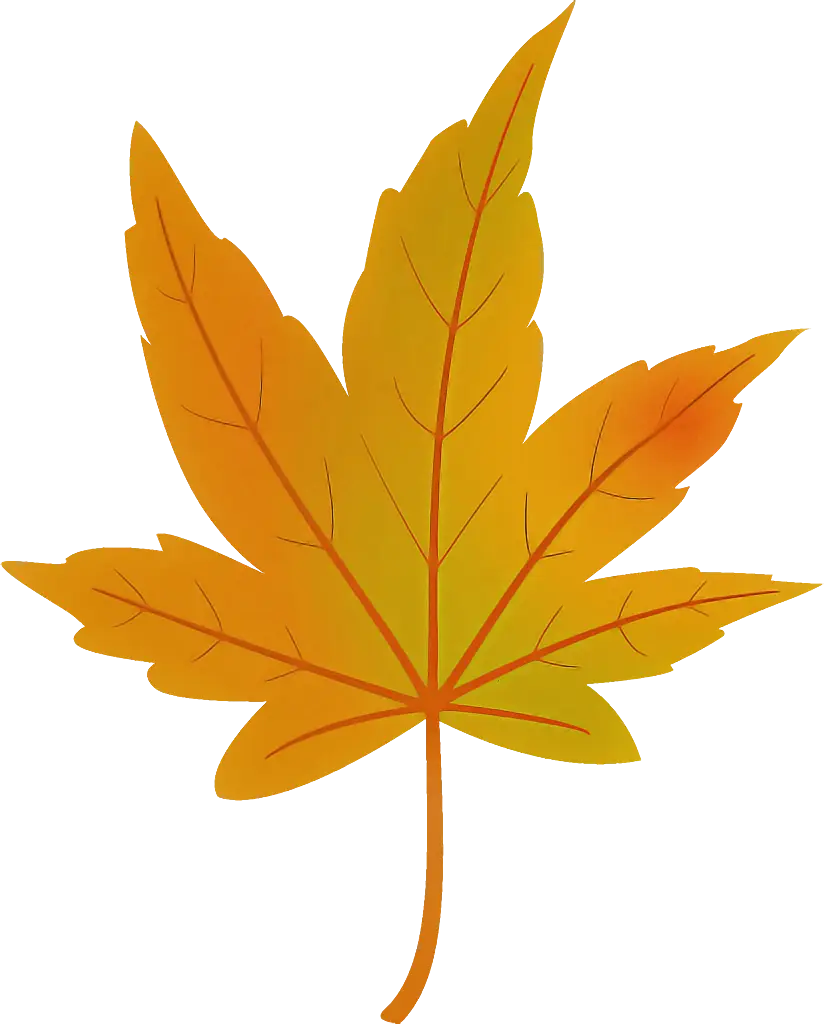 Bright Orange Maple Leaf Detail