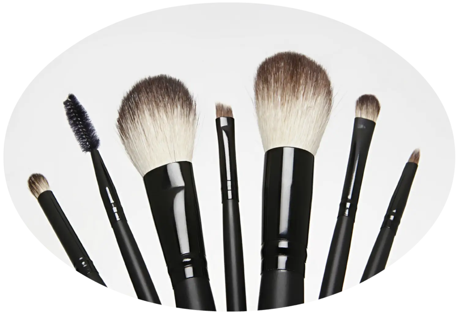 Set of Makeup Brushes