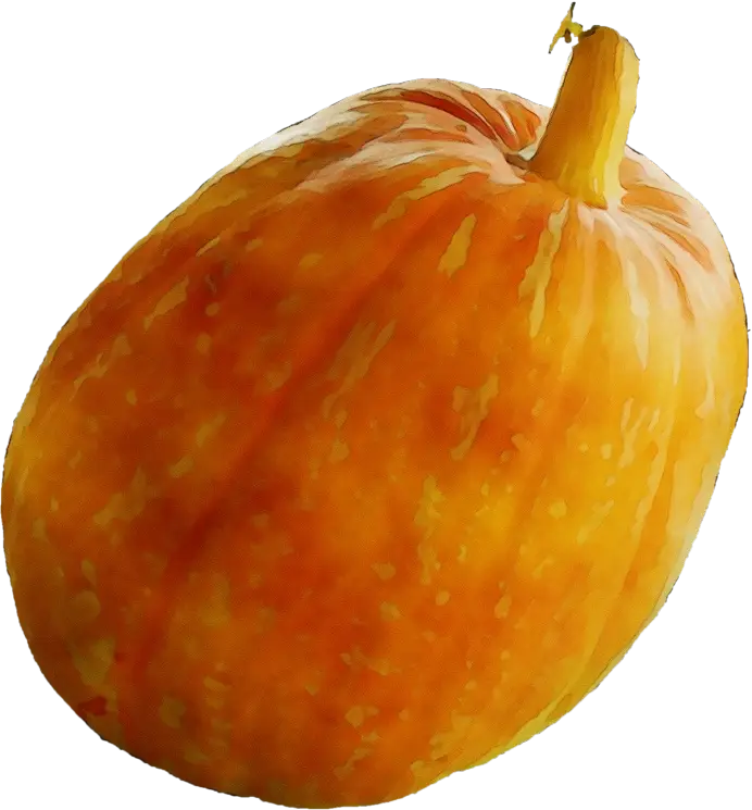 Bright Orange Pumpkin