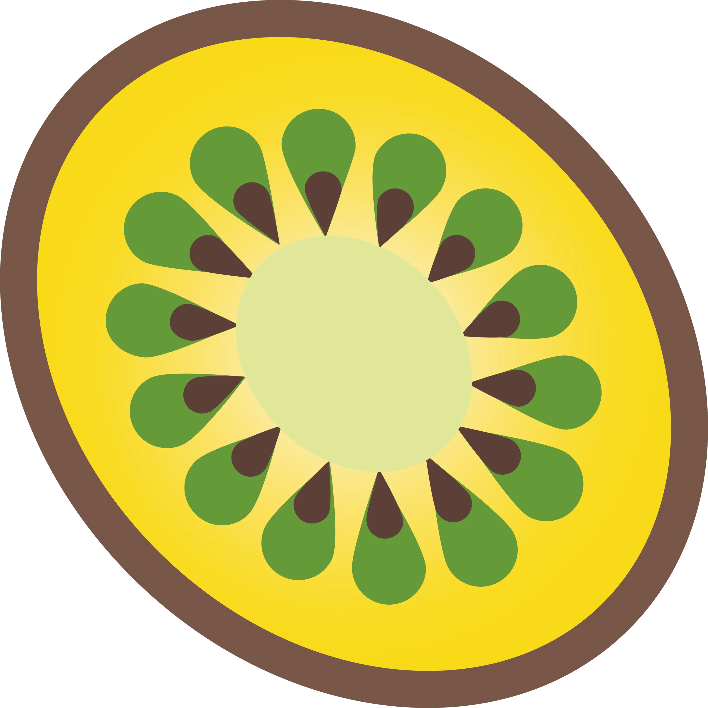 Kiwi Slice Illustration