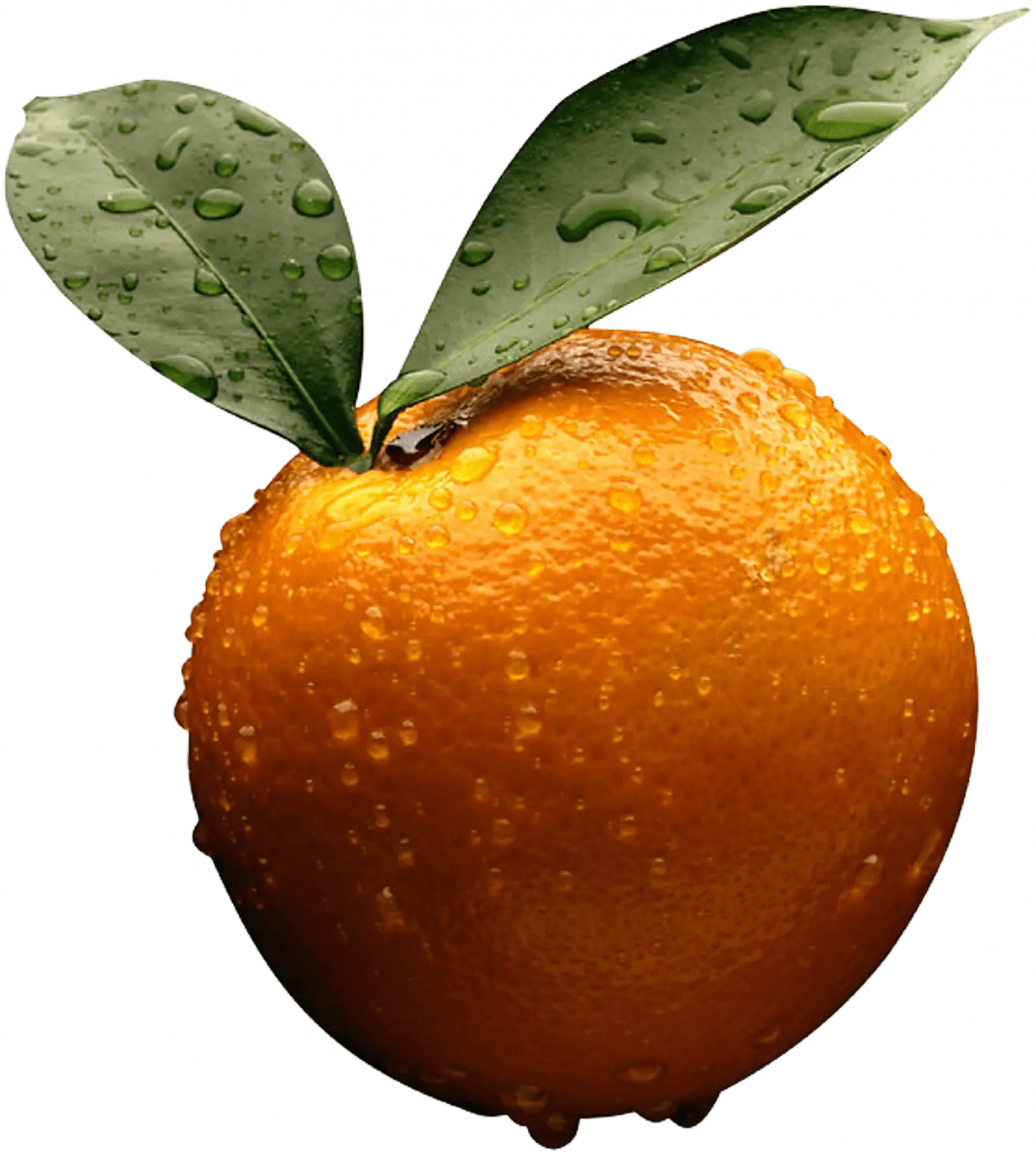 Juicy Orange with Leaves