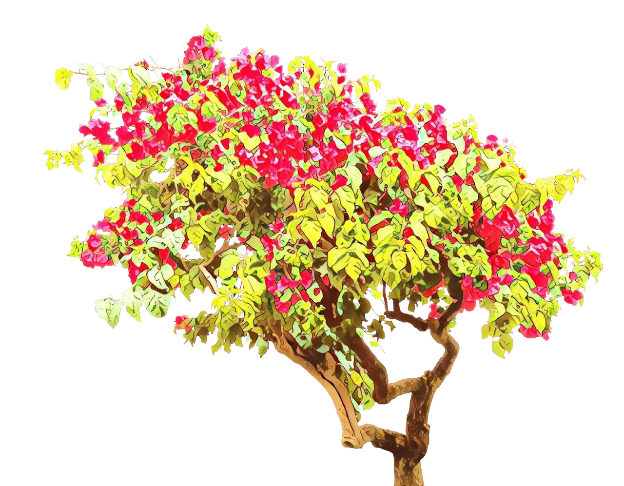 Tree with Pink Blossoms and Green Leaves
