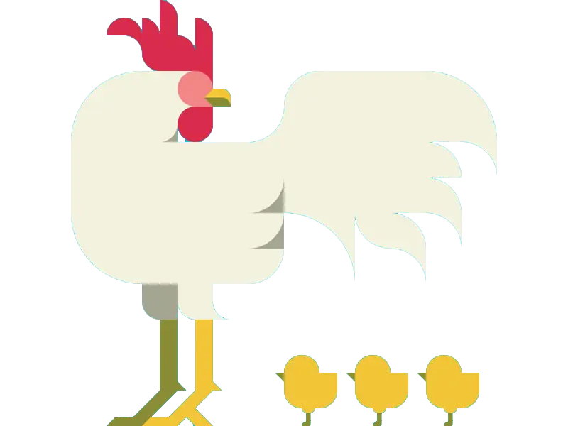 Rooster Standing with Chicks